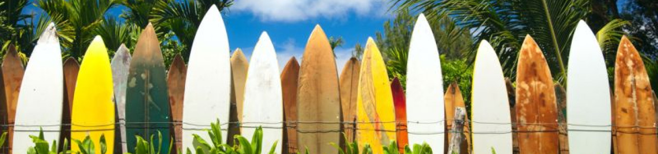 Surfabenteuer in Hawaii